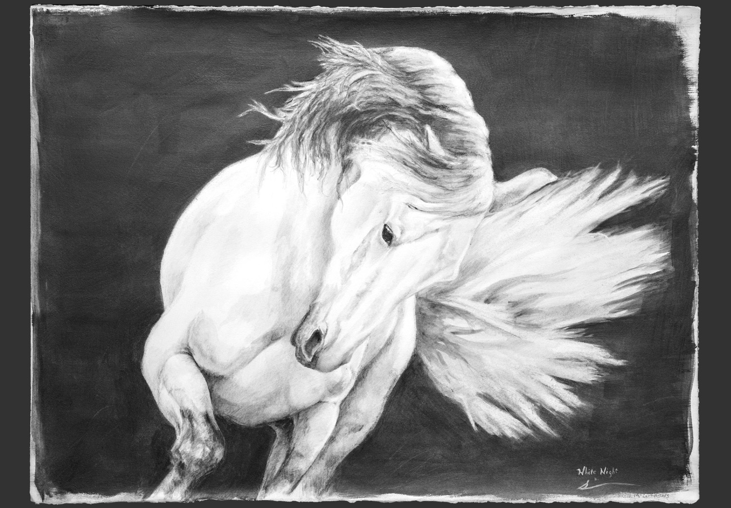 Award-Winning Artist